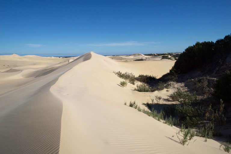 Südafrika Teil 2 · Aufnahme 28 aus unserer Reisegalerie