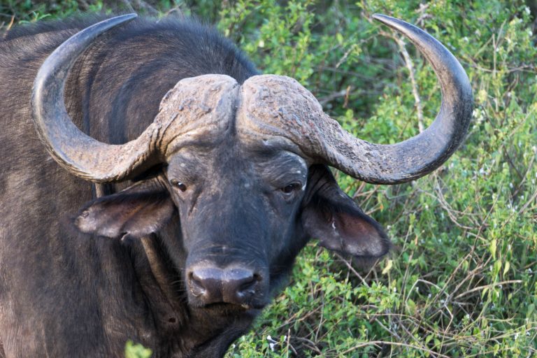 Südafrika Teil 2 · Aufnahme 30 aus unserer Reisegalerie