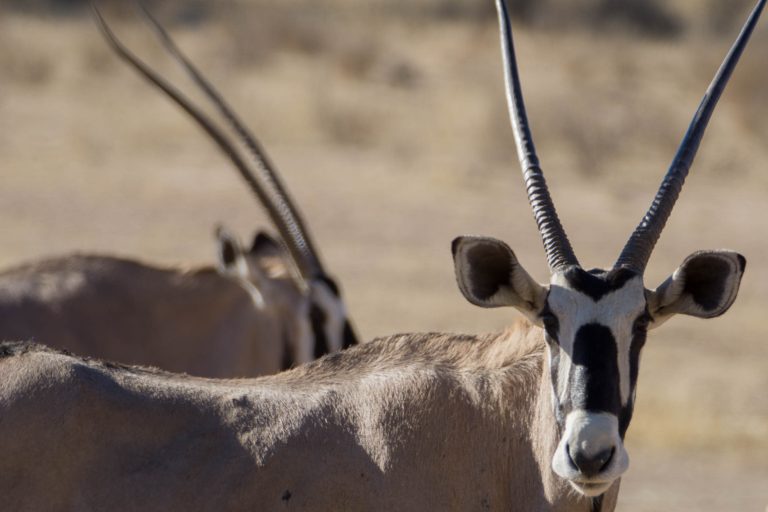 Botswana · Aufnahme 11 aus unserer Reisegalerie