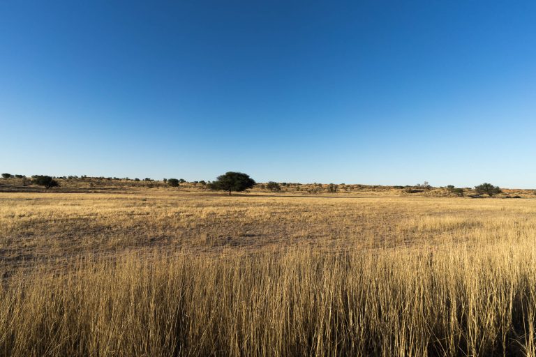 Botswana · Aufnahme 2 aus unserer Reisegalerie