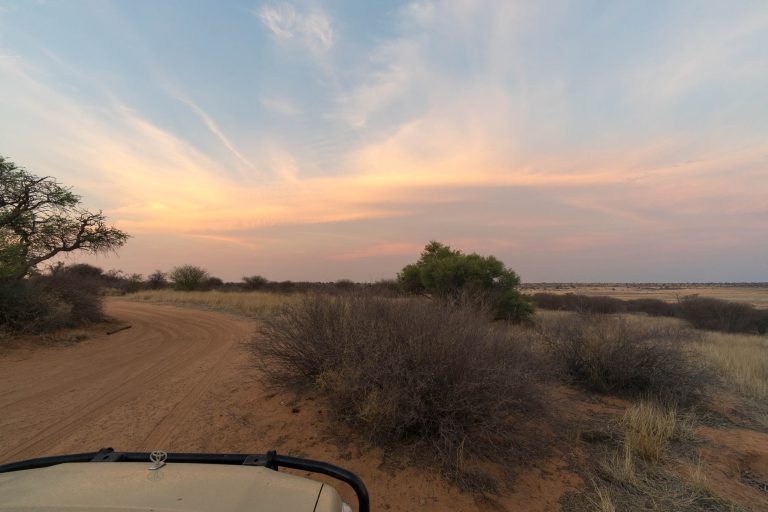 Botswana · Aufnahme 26 aus unserer Reisegalerie