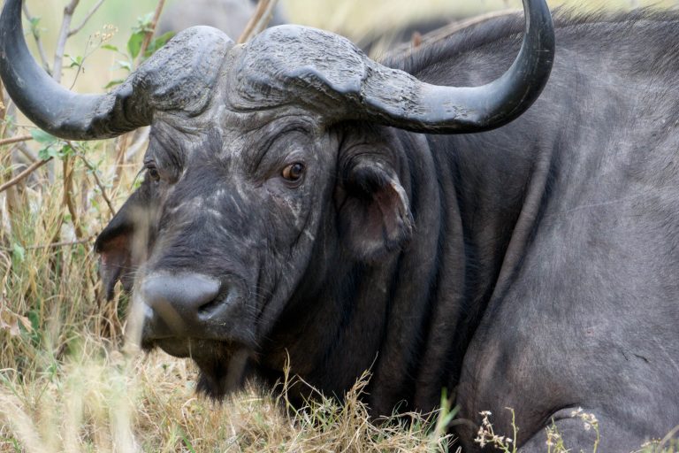 Botswana · Aufnahme 36 aus unserer Reisegalerie