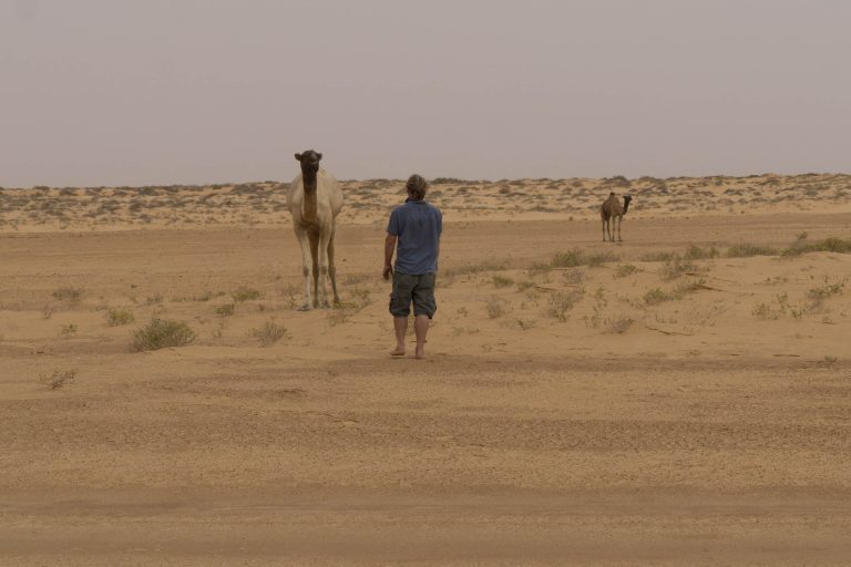 Mauretanien · Aufnahme 30 aus unserer Reisegalerie