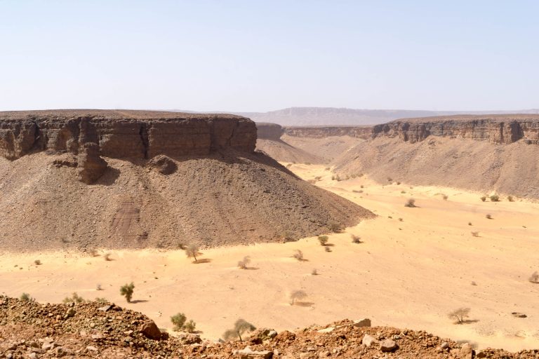 Mauretanien · Aufnahme 45 aus unserer Reisegalerie