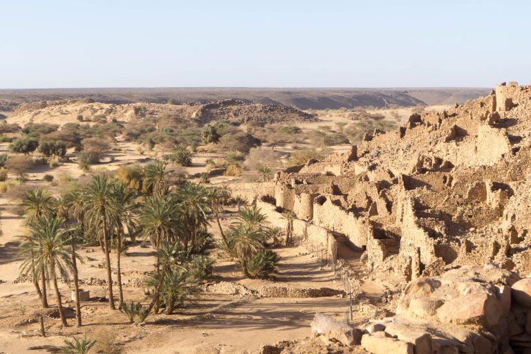 Mauretanien · Aufnahme 55 aus unserer Reisegalerie