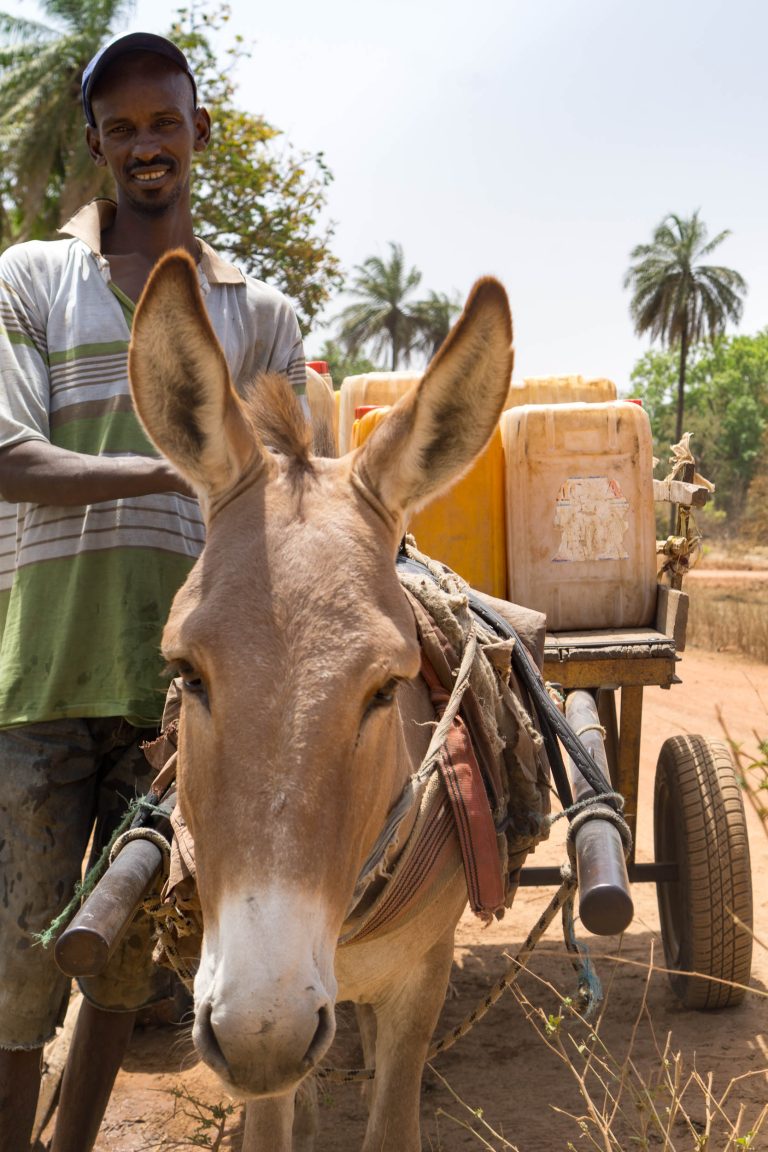 Senegal · Aufnahme 35 aus unserer Reisegalerie