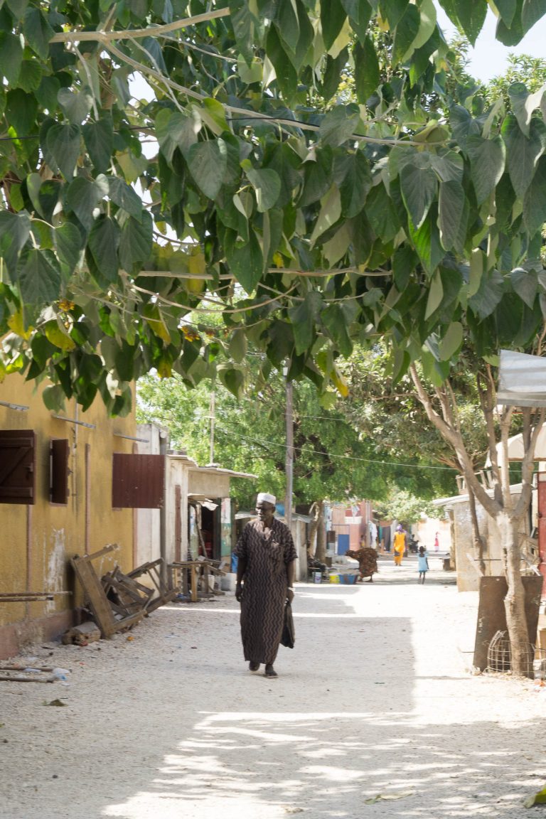 Senegal · Aufnahme 4 aus unserer Reisegalerie