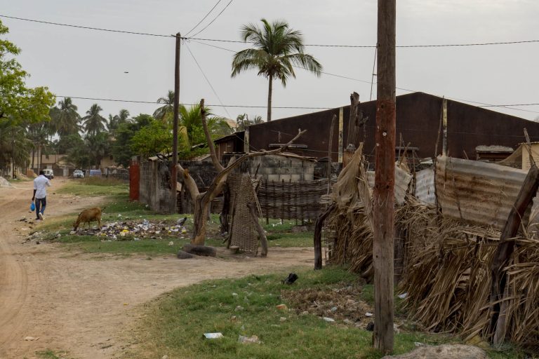 Gambia/Guinea-Bissau · Aufnahme 14 aus unserer Reisegalerie