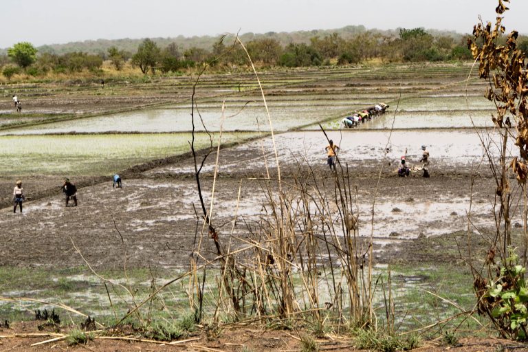 Gambia/Guinea-Bissau · Aufnahme 18 aus unserer Reisegalerie