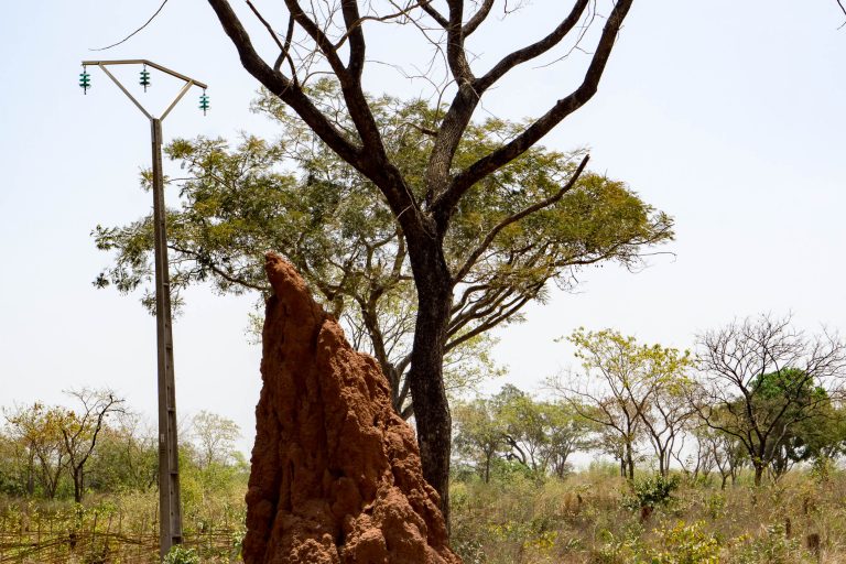Gambia/Guinea-Bissau · Aufnahme 19 aus unserer Reisegalerie
