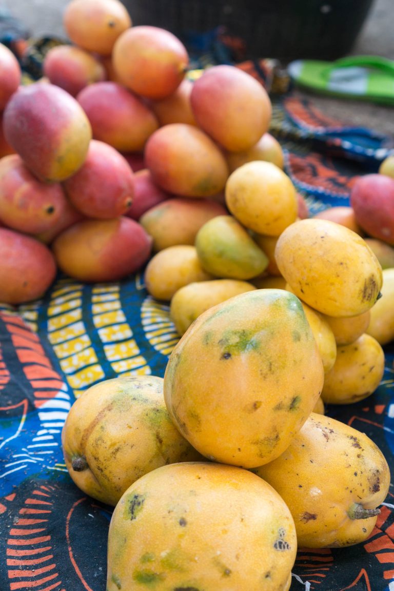 Mali · Aufnahme 10 aus unserer Reisegalerie