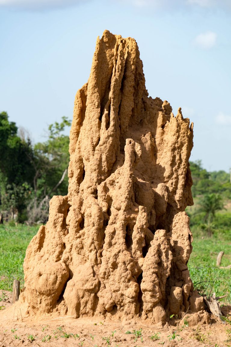 Mali · Aufnahme 16 aus unserer Reisegalerie