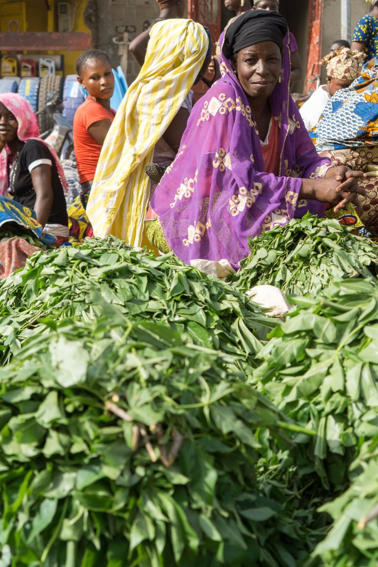 Mali · Aufnahme 7 aus unserer Reisegalerie