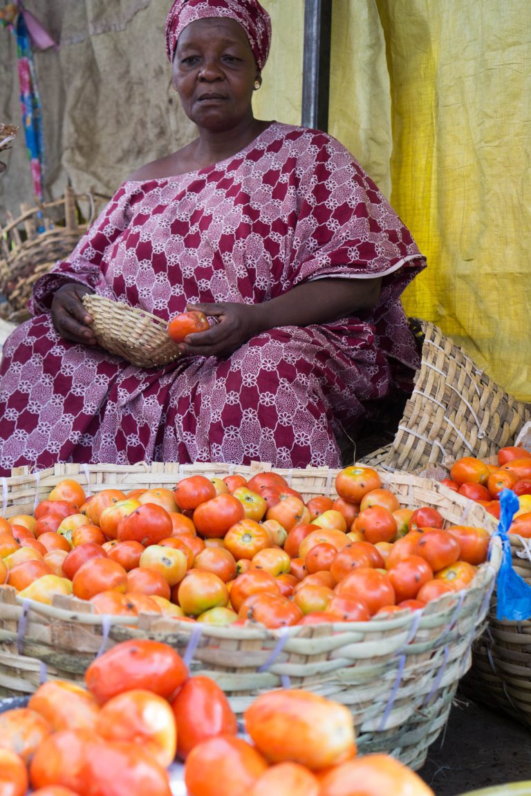 Mali · Aufnahme 8 aus unserer Reisegalerie