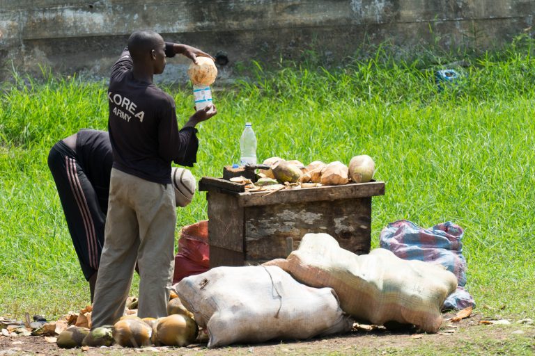 Cote d’Ivoire · Aufnahme 16 aus unserer Reisegalerie