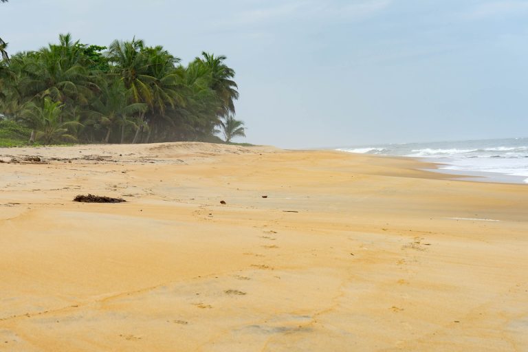 Cote d’Ivoire · Aufnahme 19 aus unserer Reisegalerie