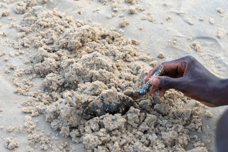 Cote d’Ivoire · Aufnahme 21 aus unserer Reisegalerie