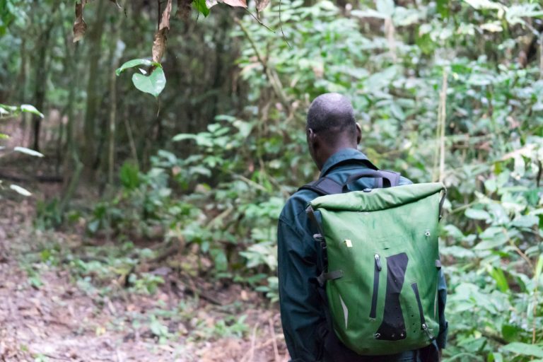 Cote d’Ivoire · Aufnahme 34 aus unserer Reisegalerie