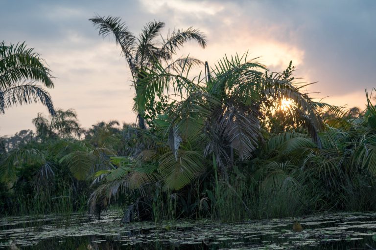 Ghana · Aufnahme 10 aus unserer Reisegalerie