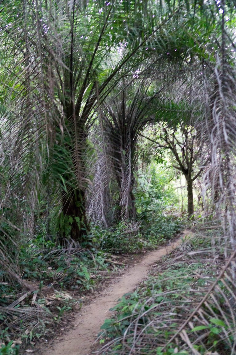 Ghana · Aufnahme 18 aus unserer Reisegalerie