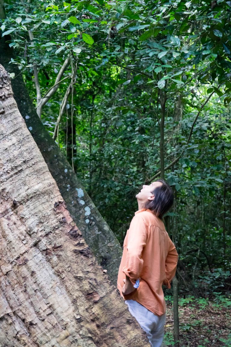 Ghana · Aufnahme 40 aus unserer Reisegalerie