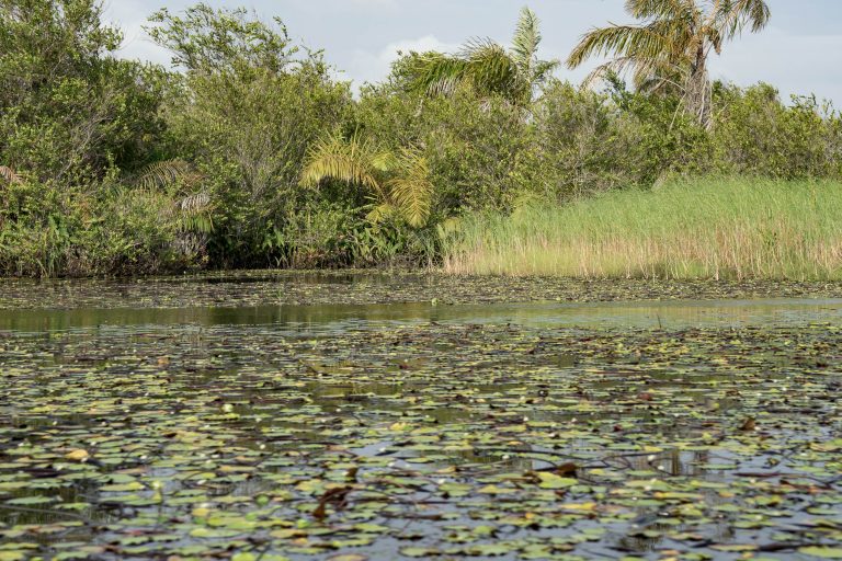 Ghana · Aufnahme 5 aus unserer Reisegalerie