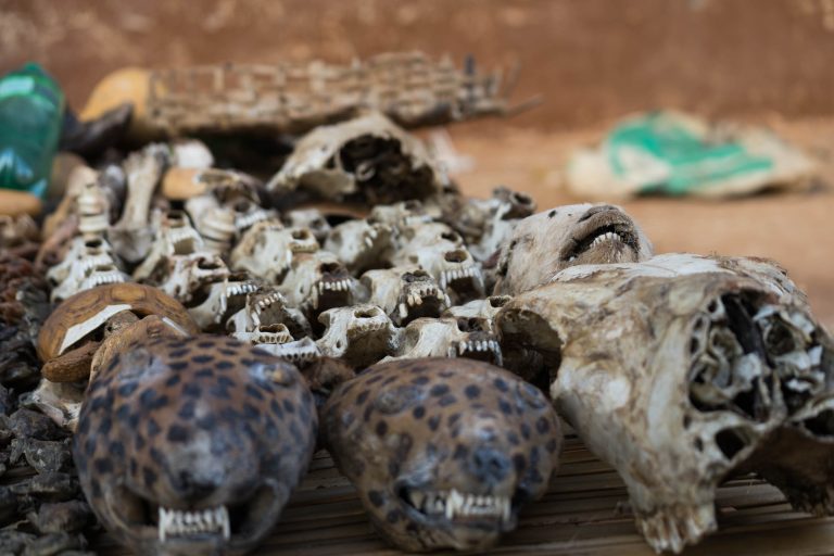 Benin · Aufnahme 12 aus unserer Reisegalerie