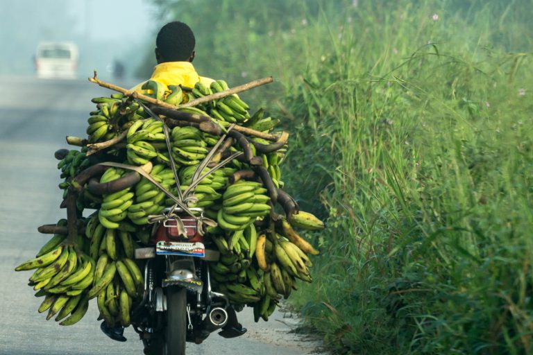 Nigeria · Aufnahme 7 aus unserer Reisegalerie