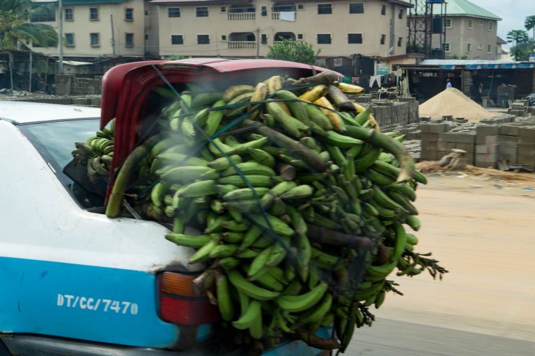 Nigeria · Aufnahme 8 aus unserer Reisegalerie