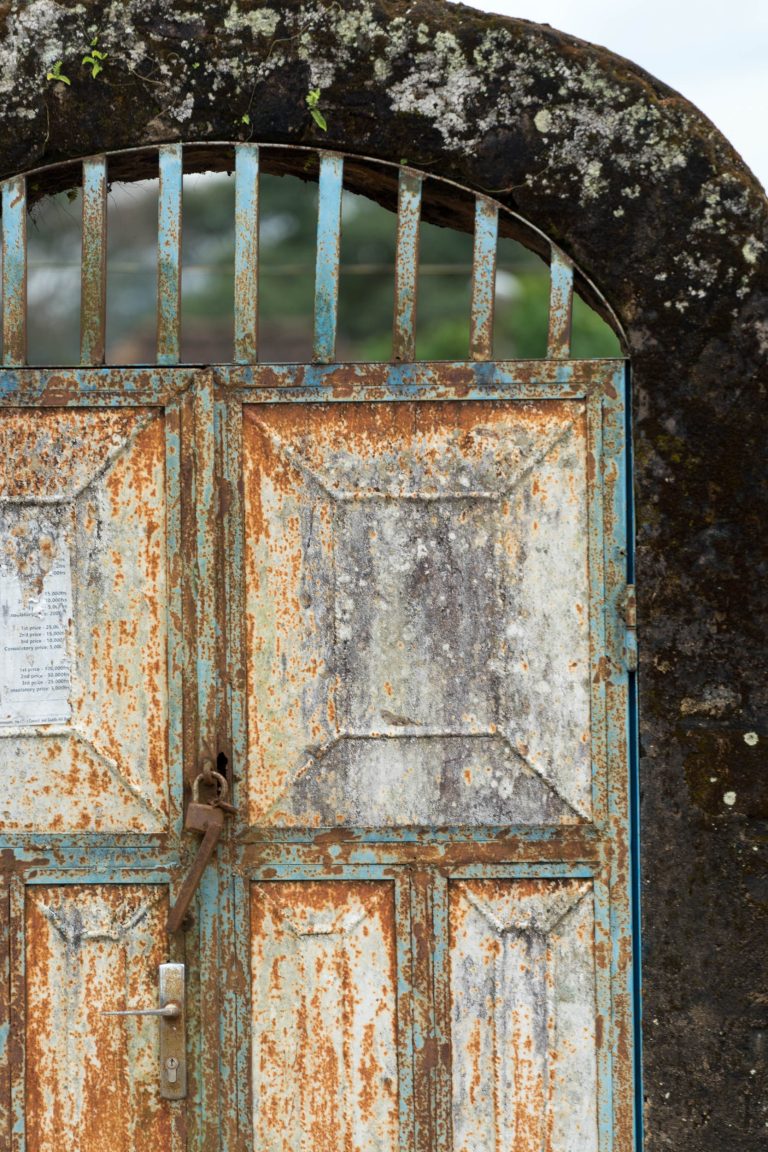 Kamerun · Aufnahme 11 aus unserer Reisegalerie