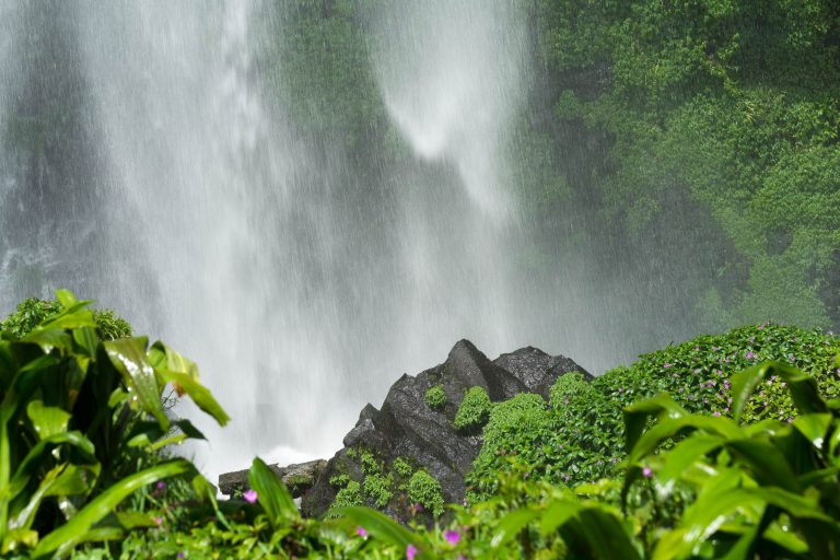 Kamerun · Aufnahme 30 aus unserer Reisegalerie