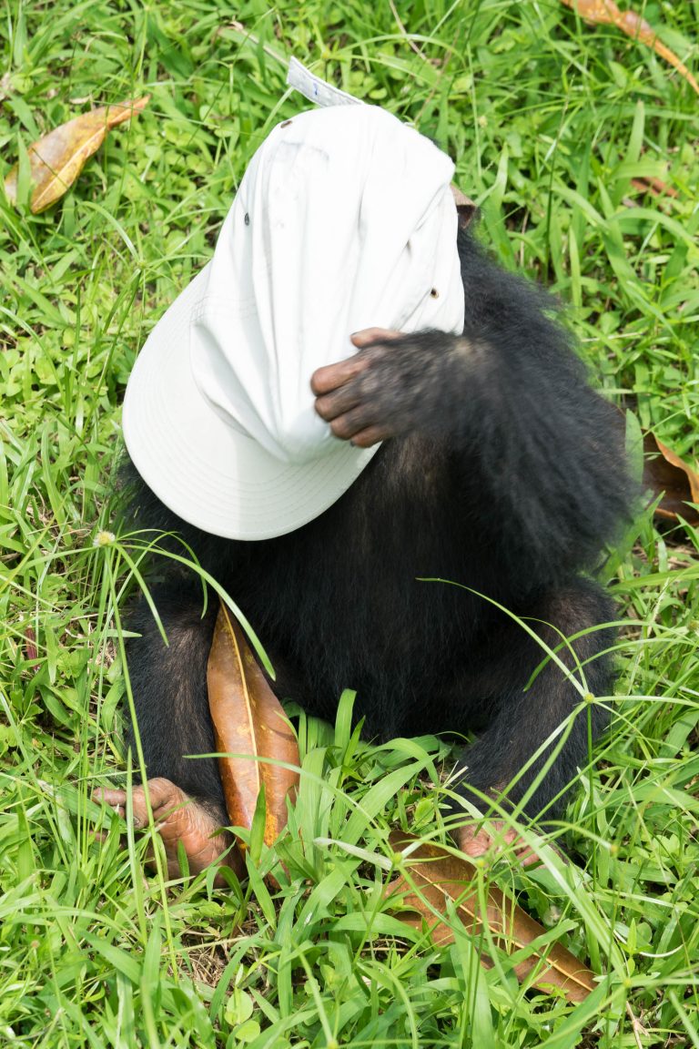 Kamerun · Aufnahme 32 aus unserer Reisegalerie