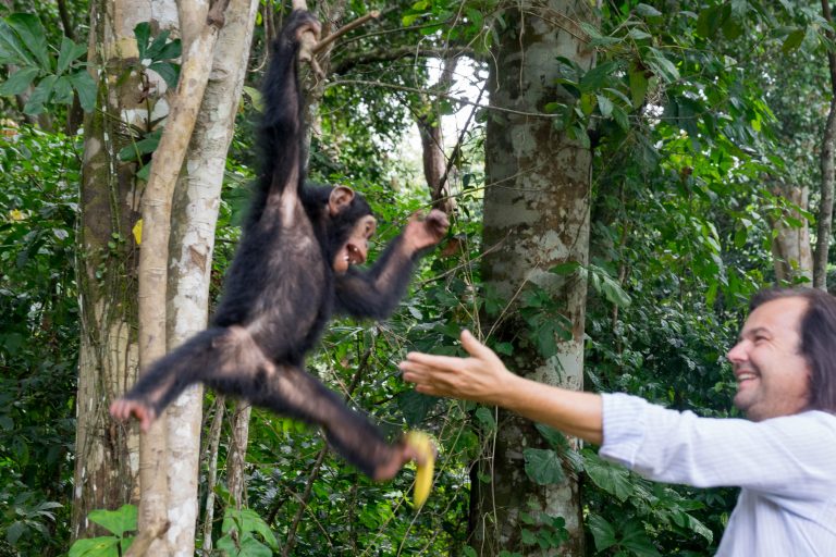 Kamerun · Aufnahme 35 aus unserer Reisegalerie