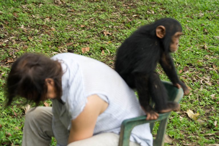 Kamerun · Aufnahme 38 aus unserer Reisegalerie