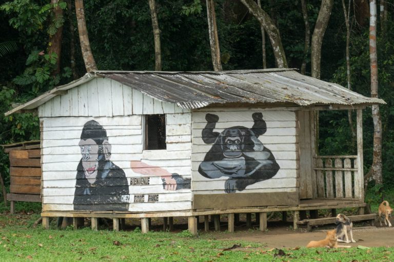 Kamerun · Aufnahme 40 aus unserer Reisegalerie
