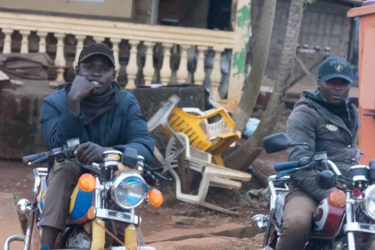 Kamerun · Aufnahme 8 aus unserer Reisegalerie
