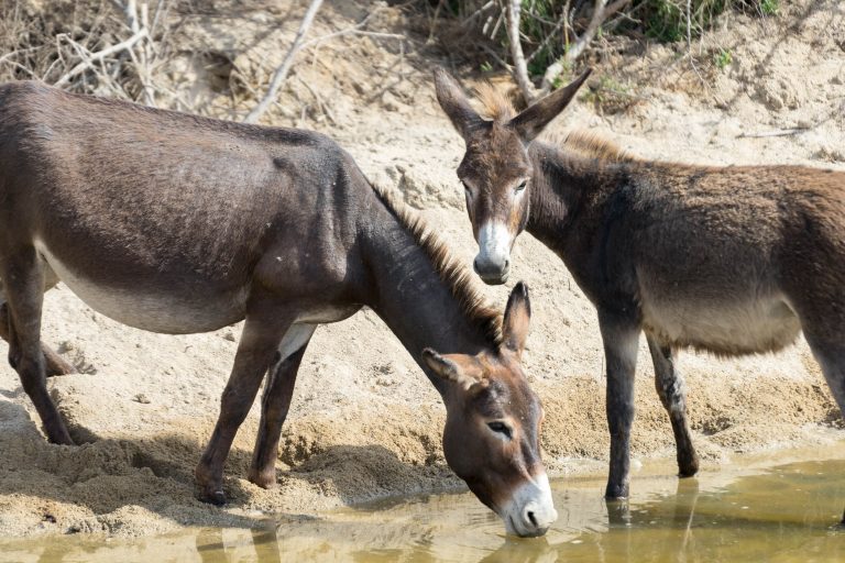 Angola · Aufnahme 10 aus unserer Reisegalerie