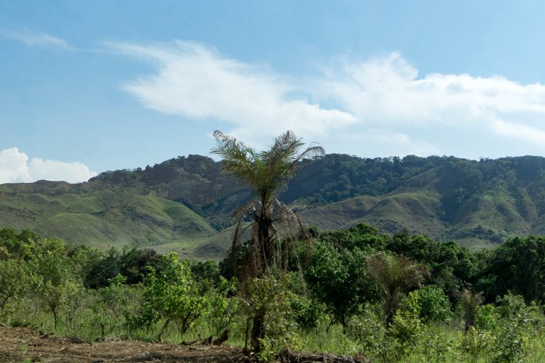 Kongo · Aufnahme 1 aus unserer Reisegalerie