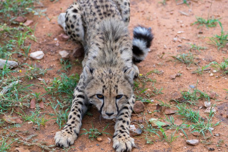 Namibia · Aufnahme 31 aus unserer Reisegalerie