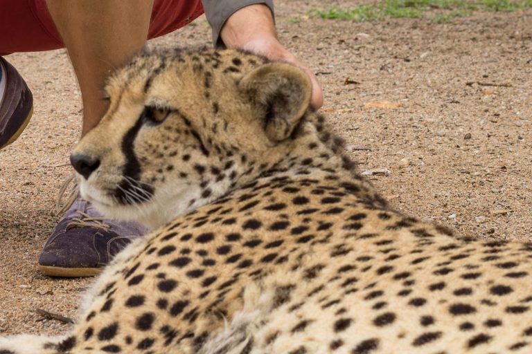 Namibia · Aufnahme 32 aus unserer Reisegalerie