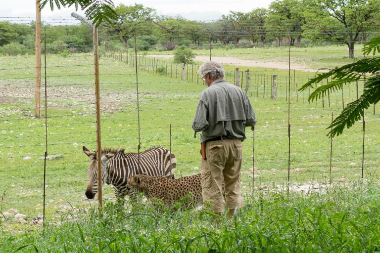 Namibia · Aufnahme 33 aus unserer Reisegalerie