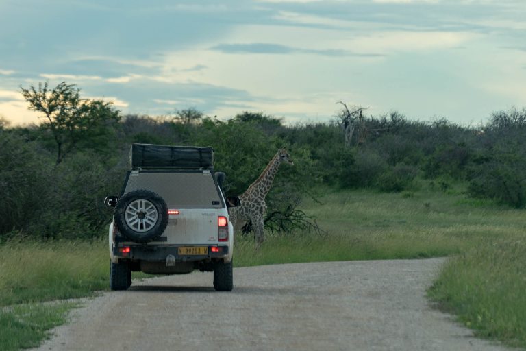 Namibia · Aufnahme 39 aus unserer Reisegalerie