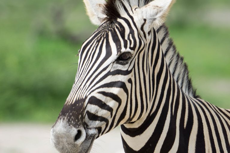 Namibia · Aufnahme 40 aus unserer Reisegalerie