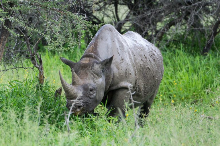Namibia · Aufnahme 42 aus unserer Reisegalerie