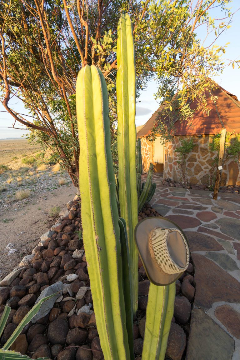 Namibia · Aufnahme 7 aus unserer Reisegalerie