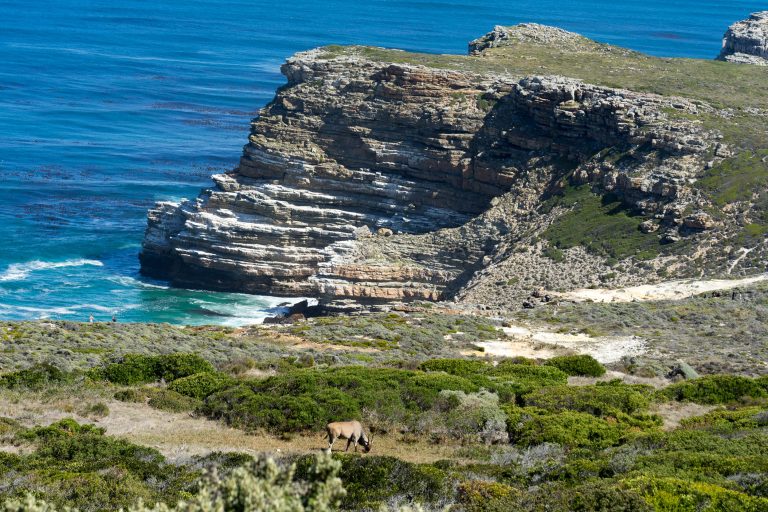 Südafrika Teil 1 · Aufnahme 29 aus unserer Reisegalerie