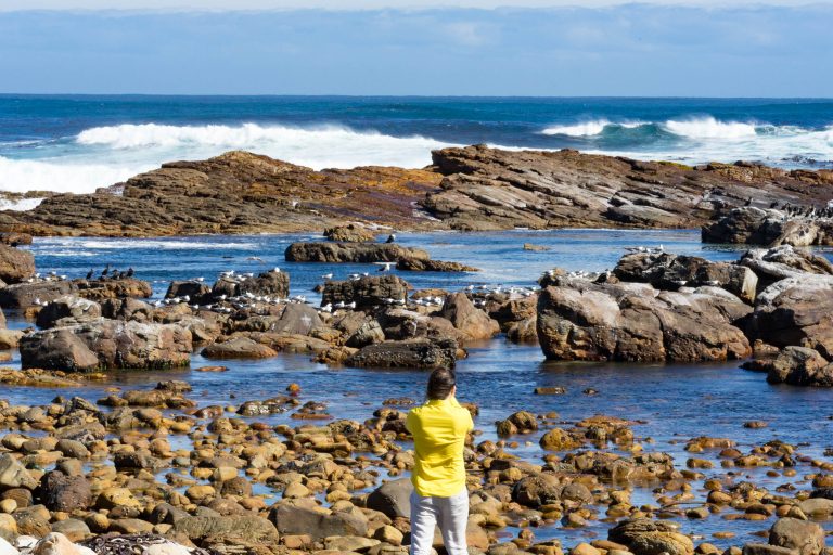 Südafrika Teil 1 · Aufnahme 32 aus unserer Reisegalerie