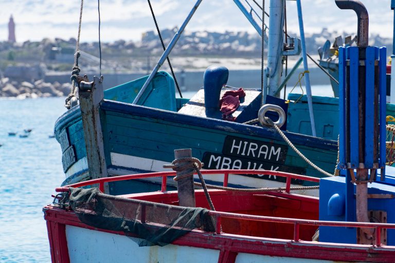 Südafrika Teil 1 · Aufnahme 4 aus unserer Reisegalerie