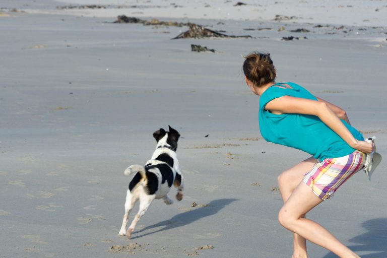 Südafrika Teil 1 · Aufnahme 9 aus unserer Reisegalerie