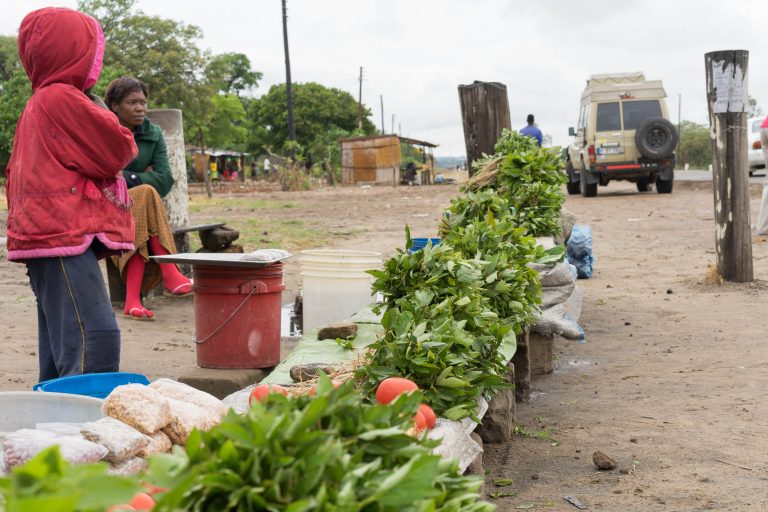 Sambia · Aufnahme 27 aus unserer Reisegalerie